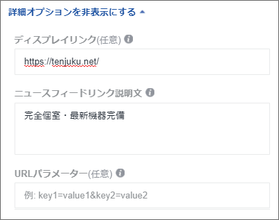 詳細オプションを表示