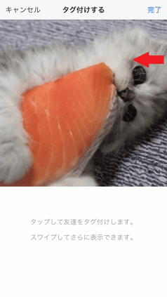 タグ付けしたい場所をタップする