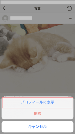 表示させたい写真をタップする