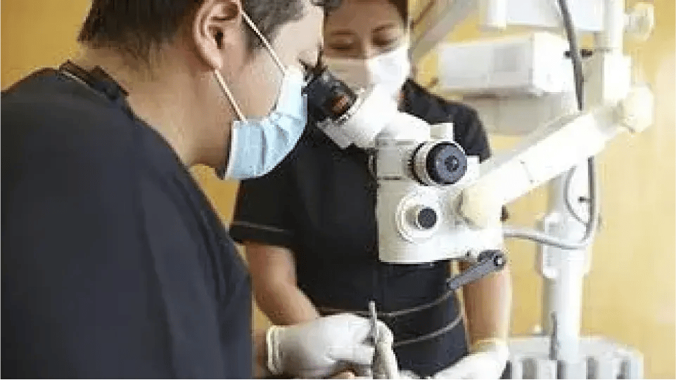 BRISTO DENTAL CLINIC